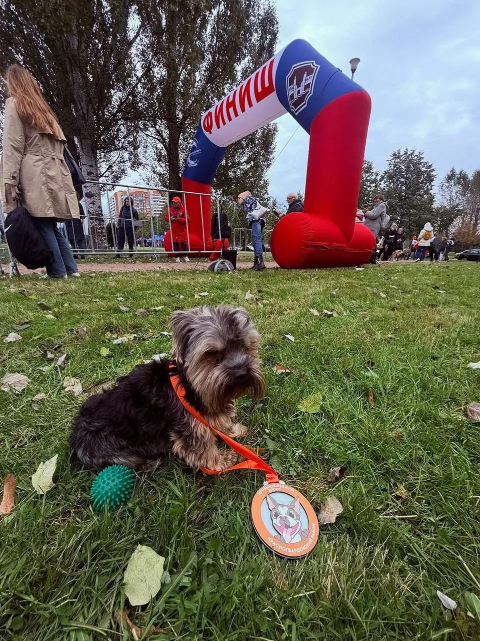 🐶 Отправляемся на хвостатый забег «Необыкновенный кросс»   Это самый милый забег года, где хозяева в