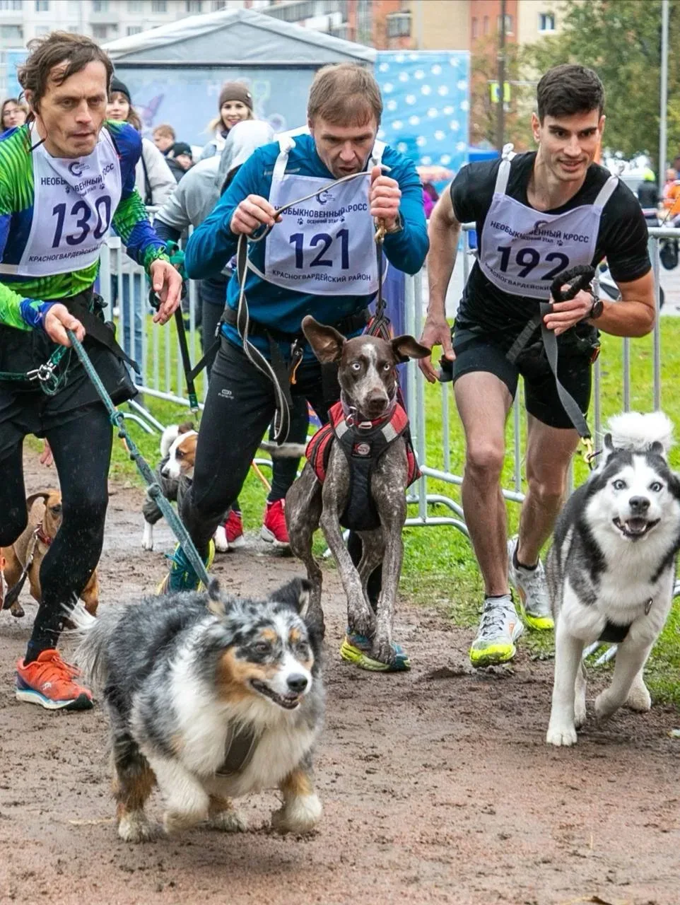 🐶 Отправляемся на хвостатый забег «Необыкновенный кросс»   Это самый милый забег года, где хозяева в