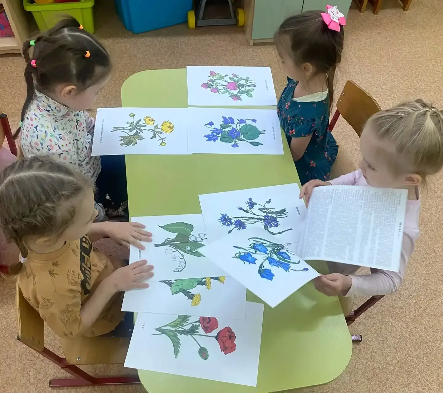 Весна,весна...                                           Цветут цветы💐                              