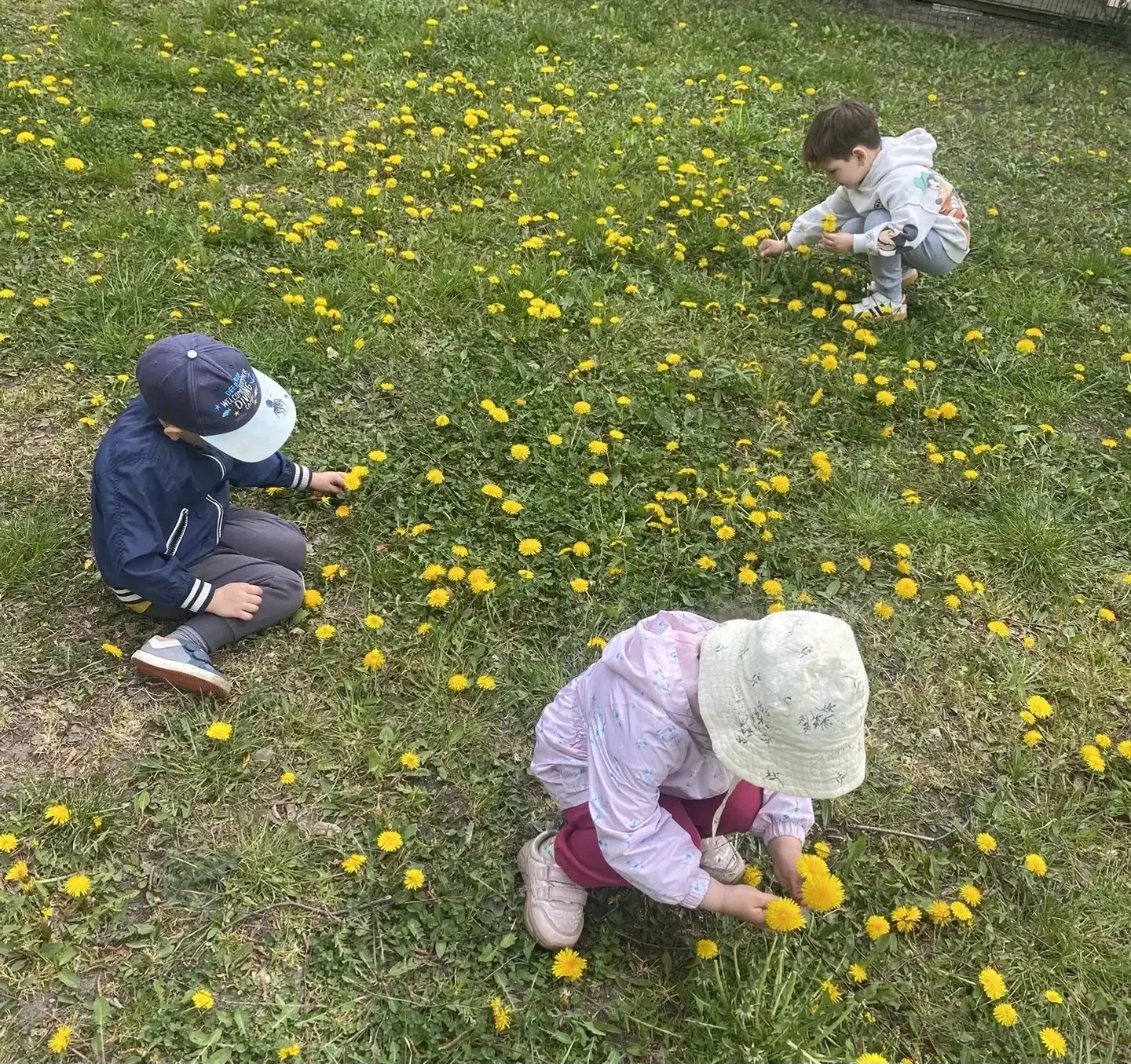 Весна,весна...                                           Цветут цветы💐                              
