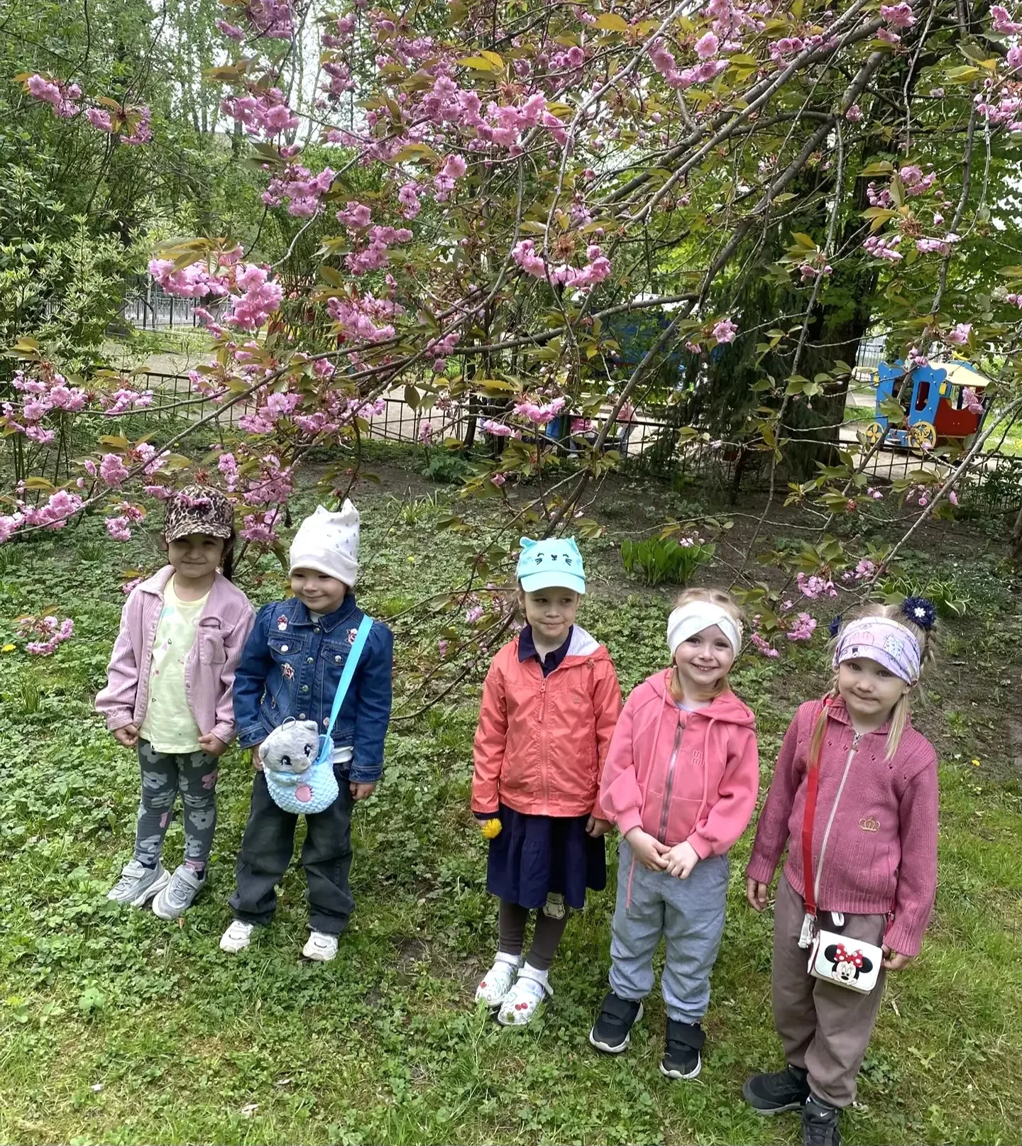 Весна,весна...                                           Цветут цветы💐                              