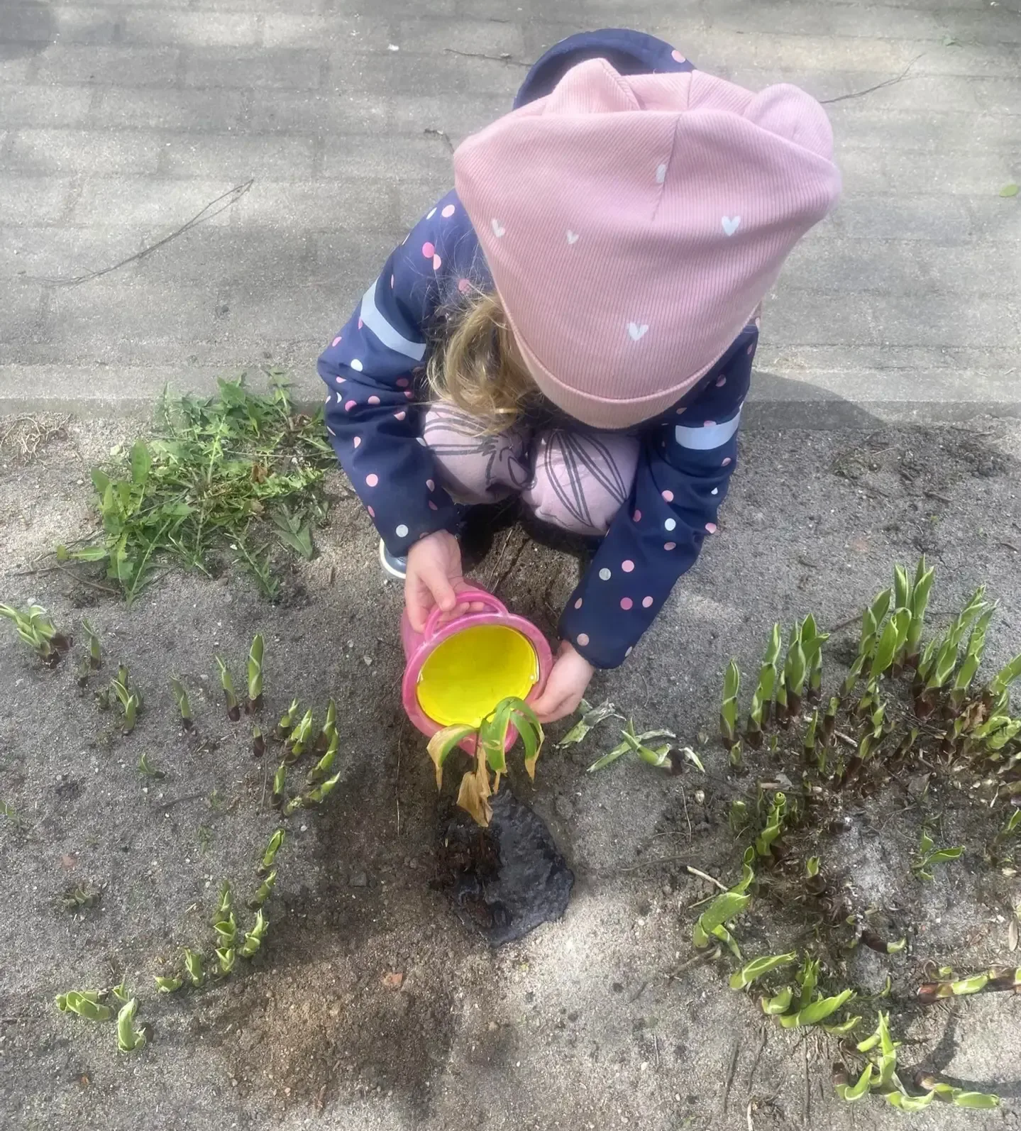 Весна,весна...                                           Цветут цветы💐                              