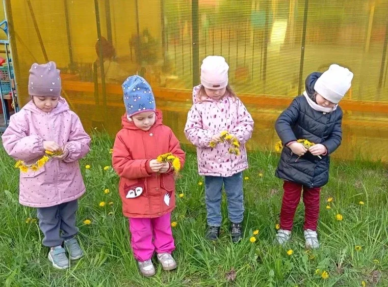 🌿У природы есть свои праздники🌿 Один из них, 13 мая - Всемирный день одуванчиков🌼Одуванчик - маленьк