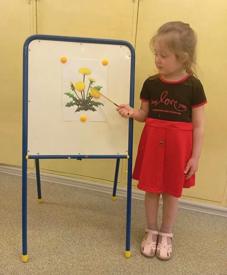 🌿У природы есть свои праздники🌿 Один из них, 13 мая - Всемирный день одуванчиков🌼Одуванчик - маленьк