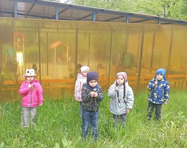 🌿У природы есть свои праздники🌿 Один из них, 13 мая - Всемирный день одуванчиков🌼Одуванчик - маленьк