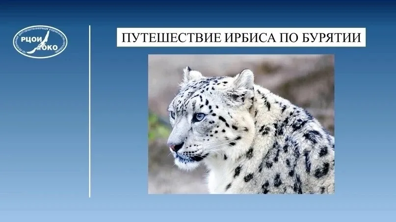 VI РЕГИОНАЛЬНЫЙ КОНКУРС «ПУТЕШЕСТВИЕ ИРБИСА ПО БУРЯТИИ»: УСПЕХ ЮНЫХ ЗНАНИЙ  В Республике Бурятия про