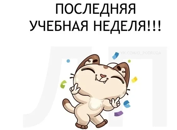 Внимание, экстренное сообщение! 🚨 До каникул — 7 дней. На борту: гора учебников, пара «хвостов» и мо