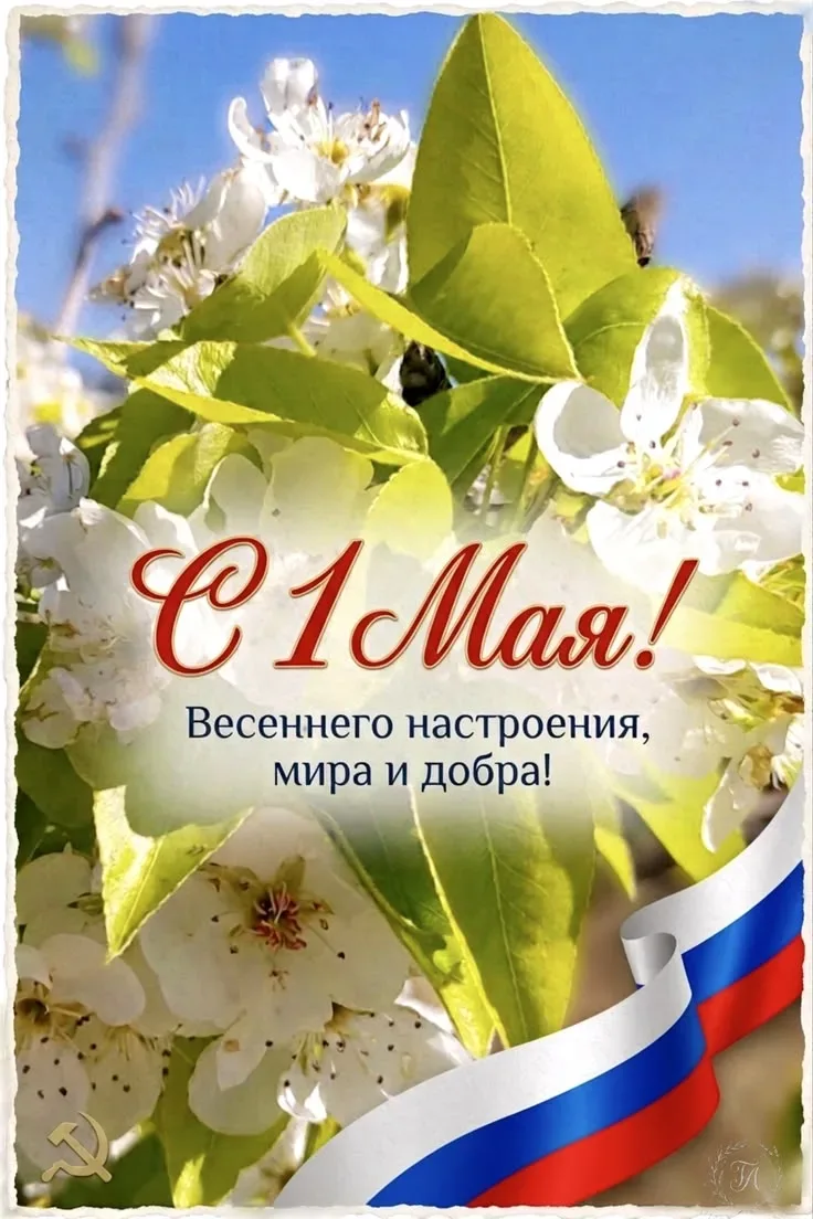 С Днём Весны и Труда! 🌸 🌷Пусть этот весенний праздник принесёт в ваш дом радость, тепло и уют. Желае
