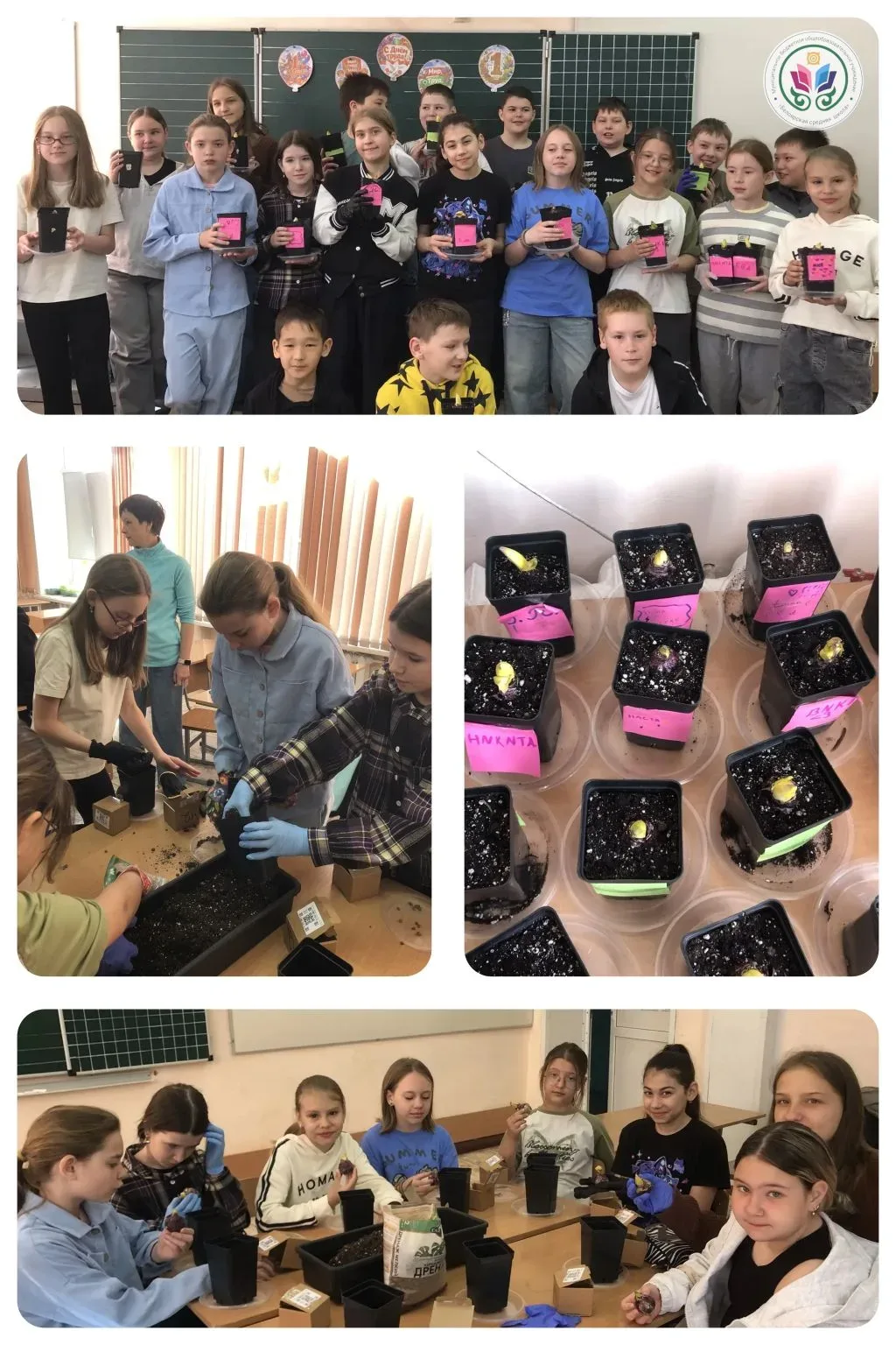Цветущий подарок для любимых мам!  🌷Сегодня, в этот праздничный день 1 мая, наша школа наполнилась о