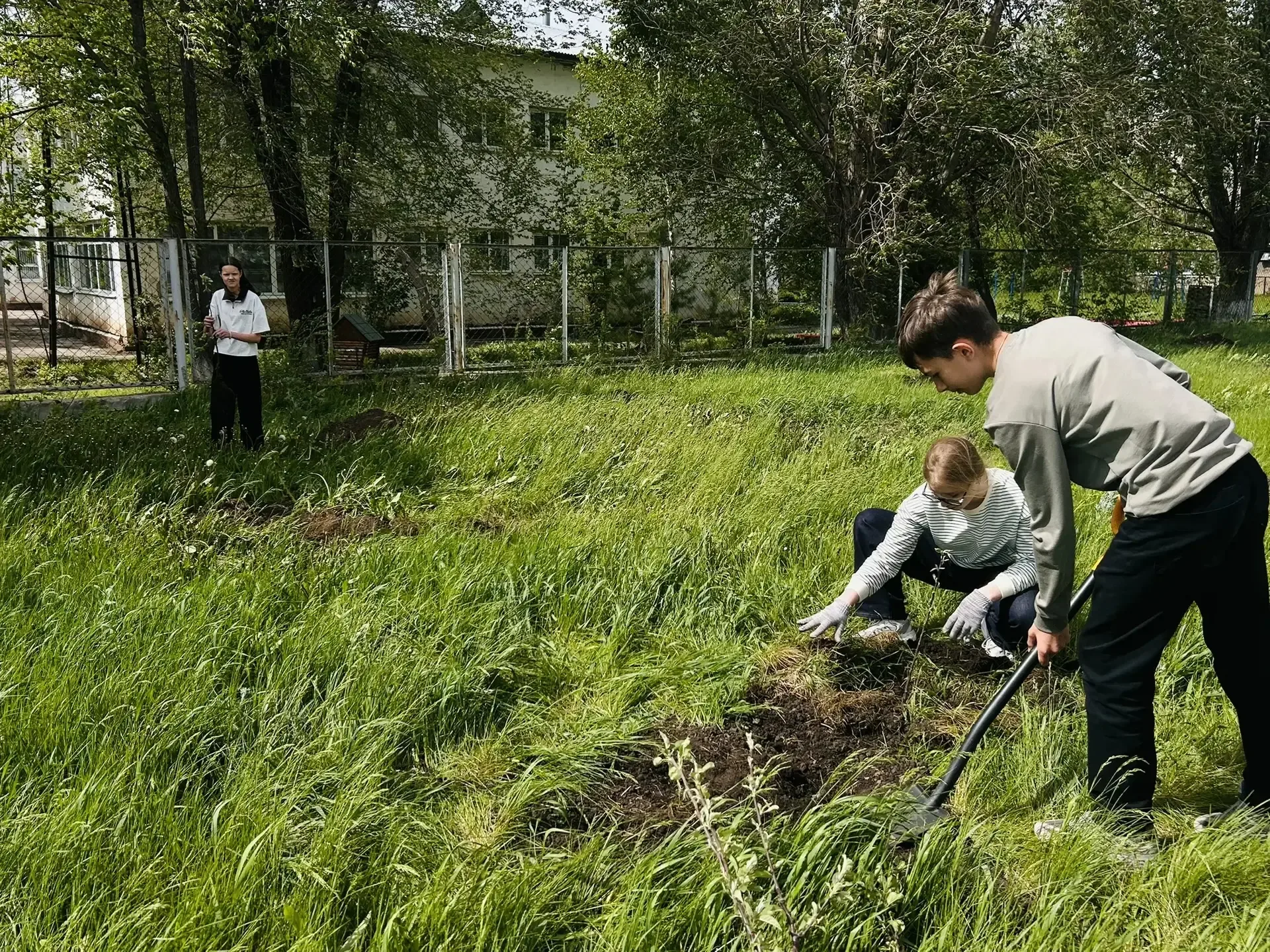 Сила единства  Волонтеры  отряда "На Волне" провели акцию по озеленяю пришкольного участка. Они поса