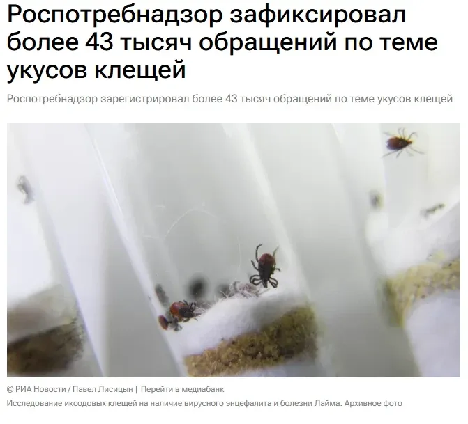 Более 43 тысяч обращений россиян по поводу укусов клещей было зафиксировано в России с начала сезона