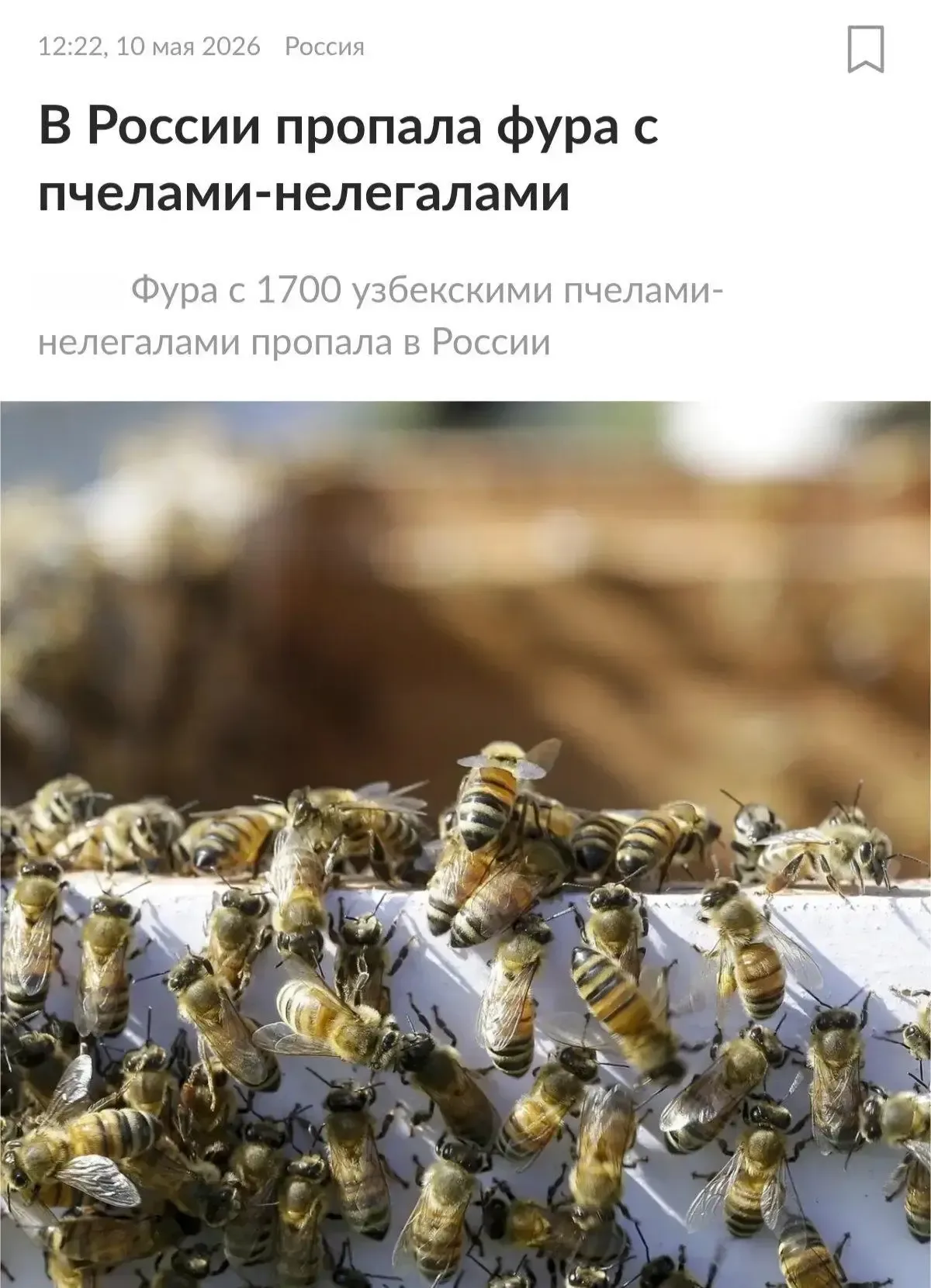 Фуру с узбекскими пчëлами-нелегалами уже месяц ищут по всей России — СМИ.   1700 насекомых не прошли