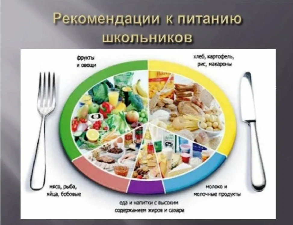 Здоровое питание – это такое питание, которое обеспечивает рост, оптимальное развитие, полноценную ж