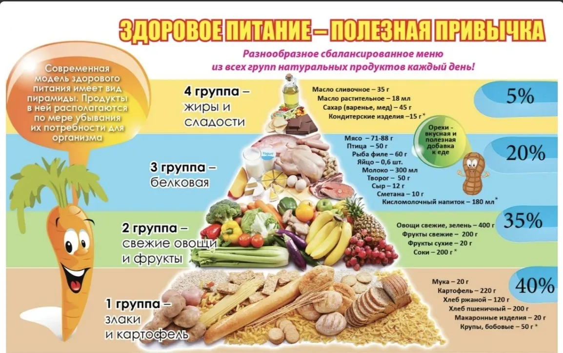 Здоровое питание – это такое питание, которое обеспечивает рост, оптимальное развитие, полноценную ж