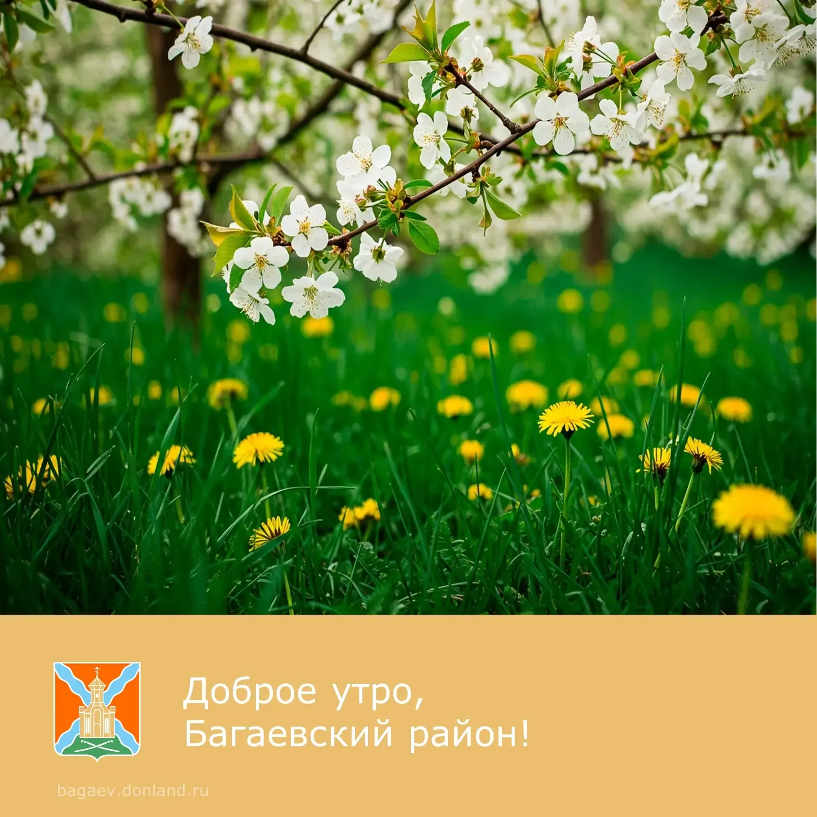 ☀️ Доброе утро, уважаемые жители Багаевского района!  ✅ Пусть этот день начнется с бодрости и вдохно