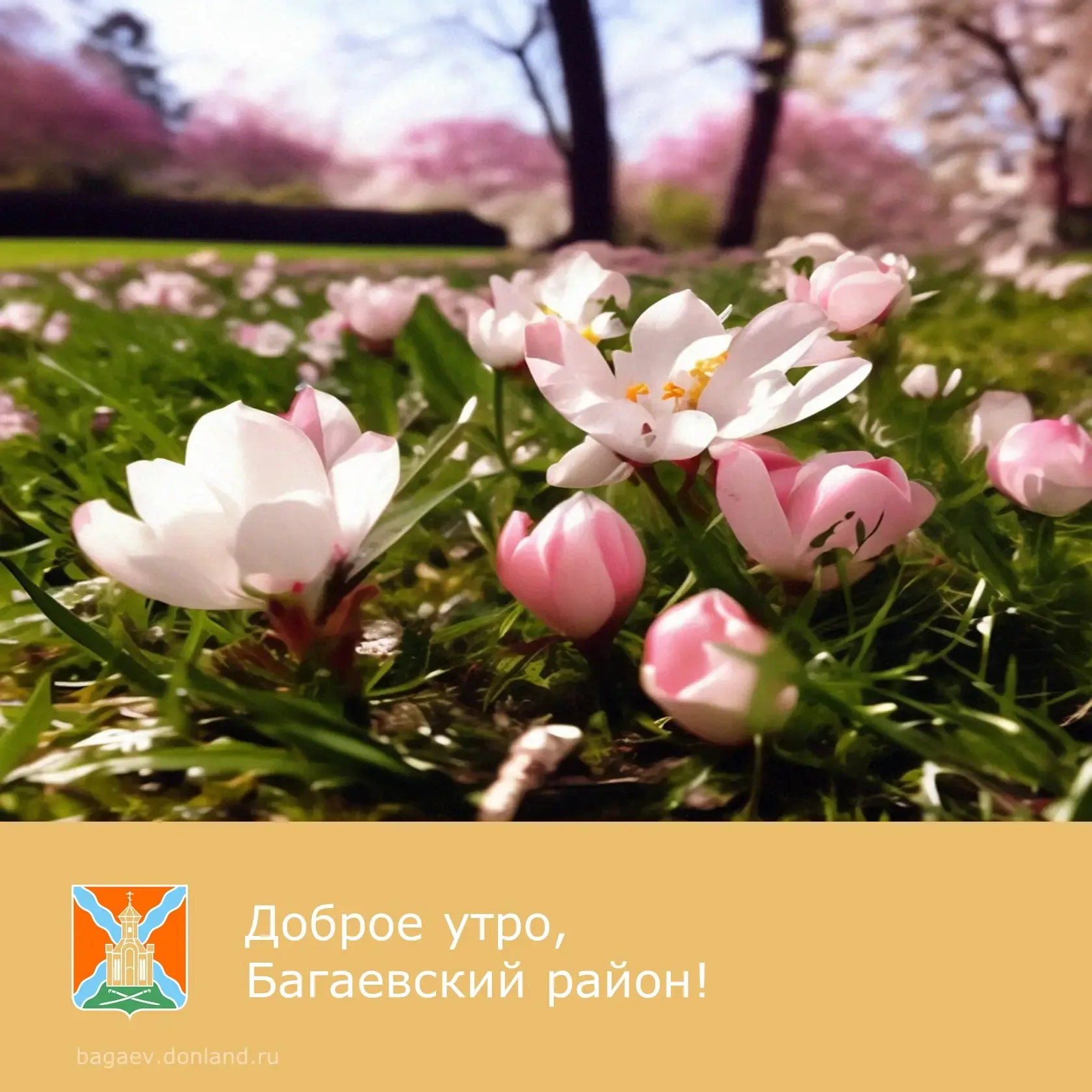 ☀️ Доброе утро, уважаемые жители Багаевского района!  ✅ Пусть суббота подарит вам прекрасный отдых в