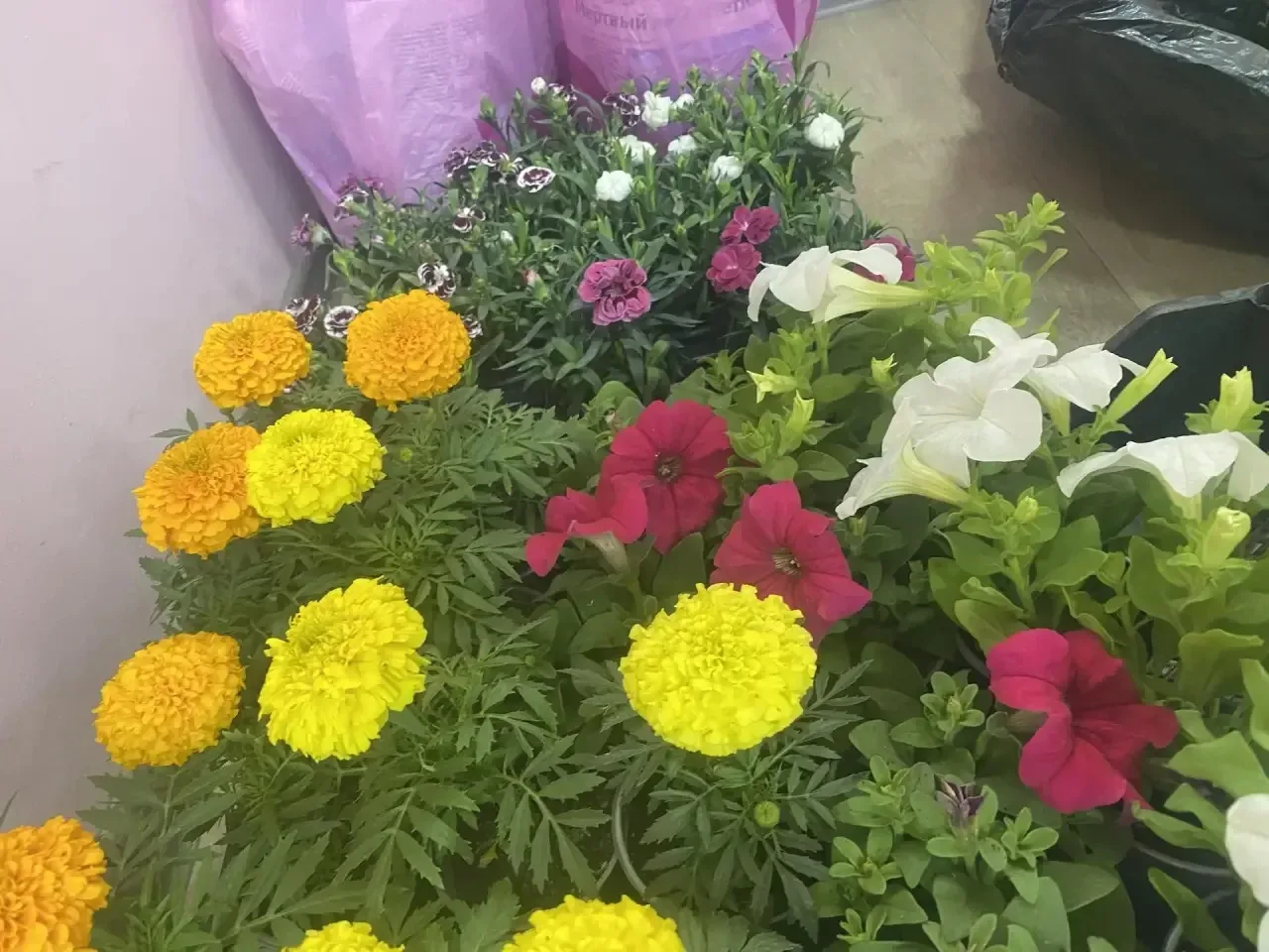 🌿💚 ЗЕЛЁНЫЙ ШАГ — СДЕЛАЛИ ВМЕСТЕ! ВЫ — НАСТОЯЩИЕ ДРУЗЬЯ ШКОЛЫ 🌸🏫 Уважаемые коллеги и родители, ребята