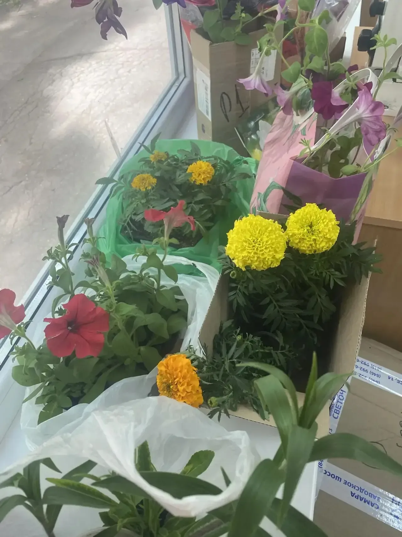 🌿💚 ЗЕЛЁНЫЙ ШАГ — СДЕЛАЛИ ВМЕСТЕ! ВЫ — НАСТОЯЩИЕ ДРУЗЬЯ ШКОЛЫ 🌸🏫 Уважаемые коллеги и родители, ребята