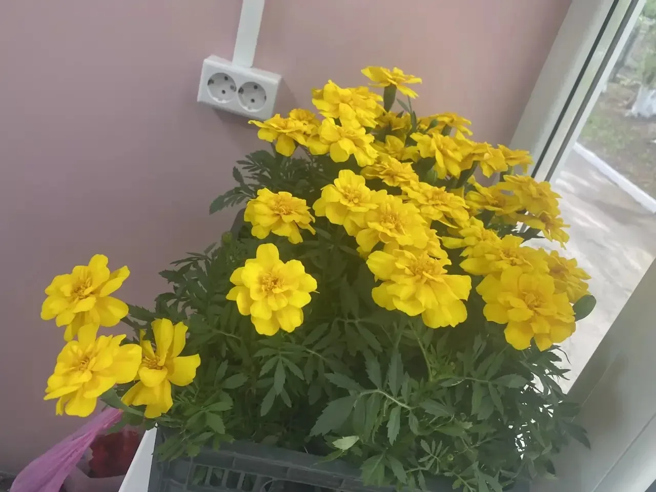 🌿💚 ЗЕЛЁНЫЙ ШАГ — СДЕЛАЛИ ВМЕСТЕ! ВЫ — НАСТОЯЩИЕ ДРУЗЬЯ ШКОЛЫ 🌸🏫 Уважаемые коллеги и родители, ребята