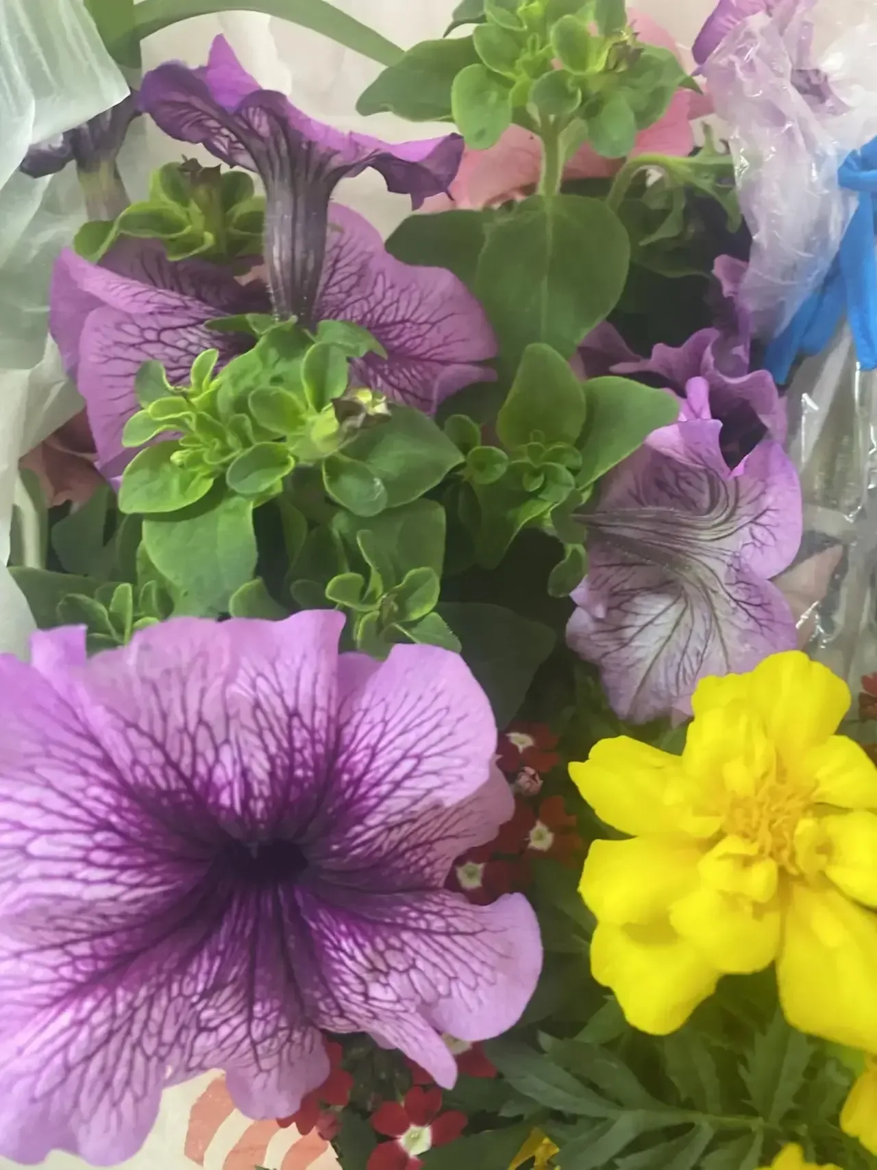 🌿💚 ЗЕЛЁНЫЙ ШАГ — СДЕЛАЛИ ВМЕСТЕ! ВЫ — НАСТОЯЩИЕ ДРУЗЬЯ ШКОЛЫ 🌸🏫 Уважаемые коллеги и родители, ребята