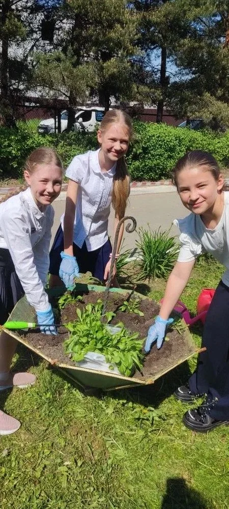 Учащиеся 3г класса приняли участие в акции "Зелёная весна". Девочки посадили цветы в клумбы. #МОУСОШ
