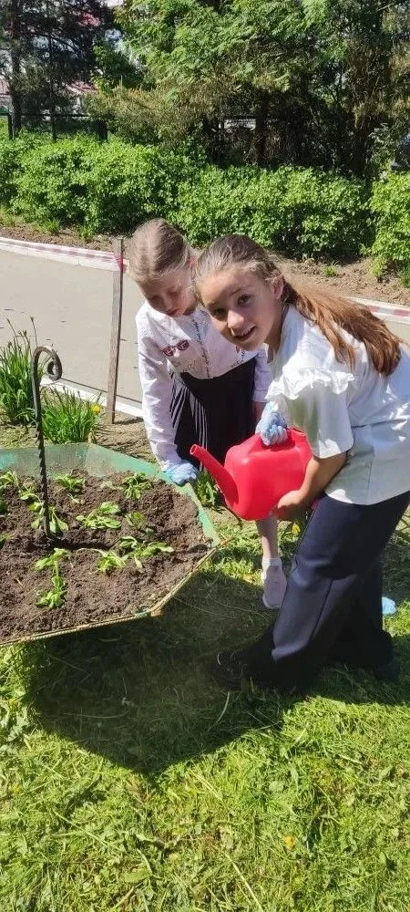 Учащиеся 3г класса приняли участие в акции "Зелёная весна". Девочки посадили цветы в клумбы. #МОУСОШ