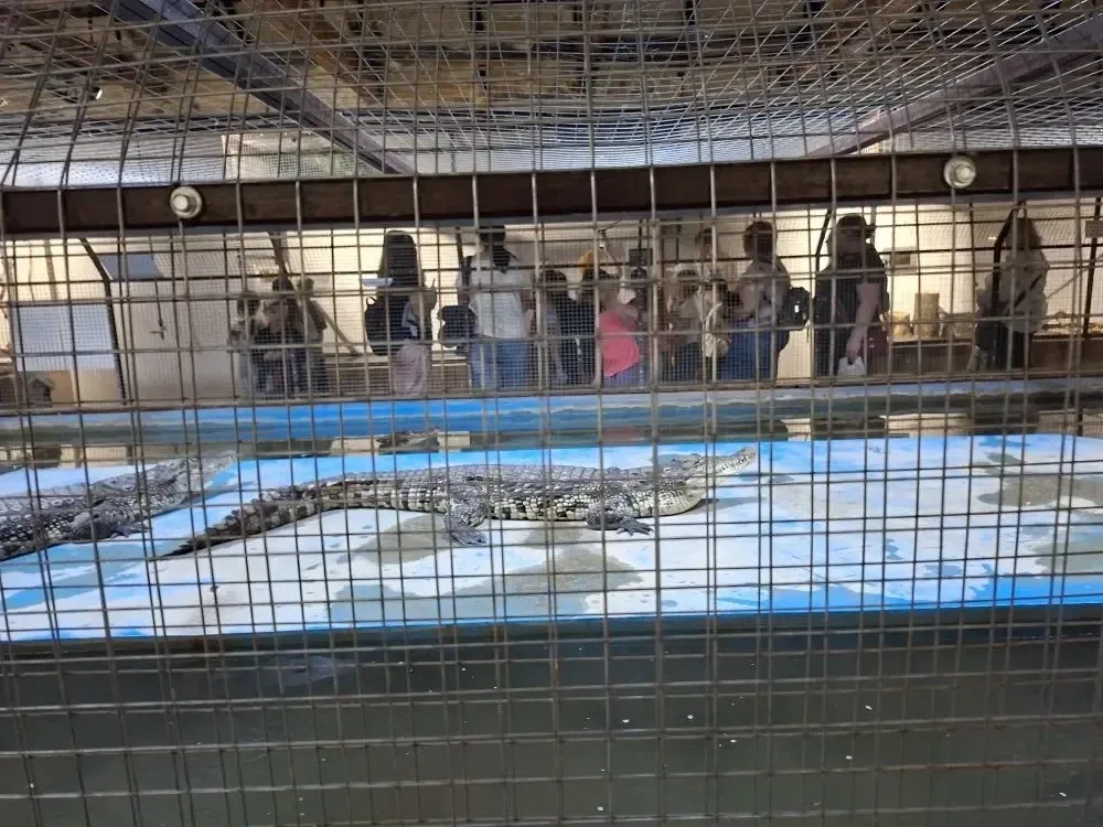 Экодеревушка 🐊🐌  Ученики 1А и 1Г класса вернулись с увлекательной экскурсии, полной неожиданных откр