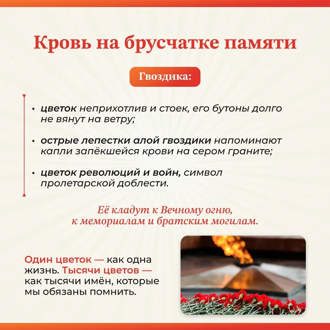 📖 В каждой семье есть своя история войны. А есть факты, которые знает весь мир. Мы подготовили для в