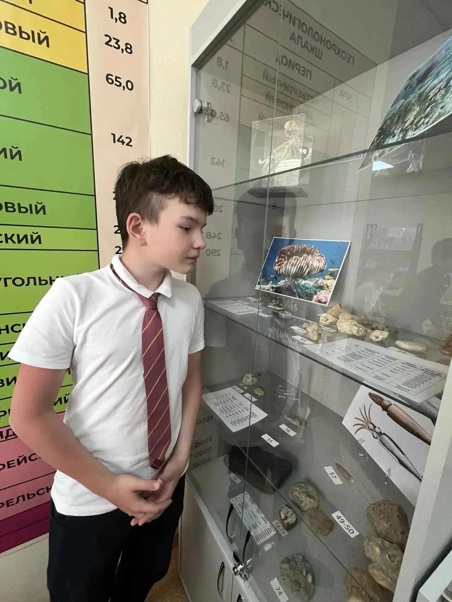 🏦 18 мая отмечается  Международный день  музеев — ежегодный праздник,  который подчёркивает  роль му