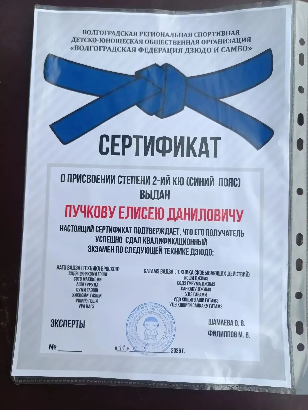 🏆 Гордость 4 «Г»! 🏆  Поздравляем ученика #МОУСШ81 Пучкова Елисея с важным достижением в мире единобо