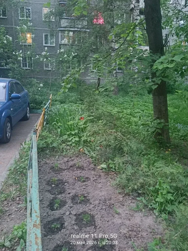 Жители дома № 7к1 по улице Васюнина продолжают благоустраивать свой двор, а Домоуправляющая компания