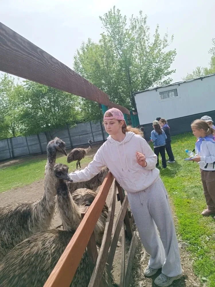 ✨ Завершение трека программы «Орлята России» ✨  Сегодня ученики 1 «В» и 1 «Г» классов успешно заверш