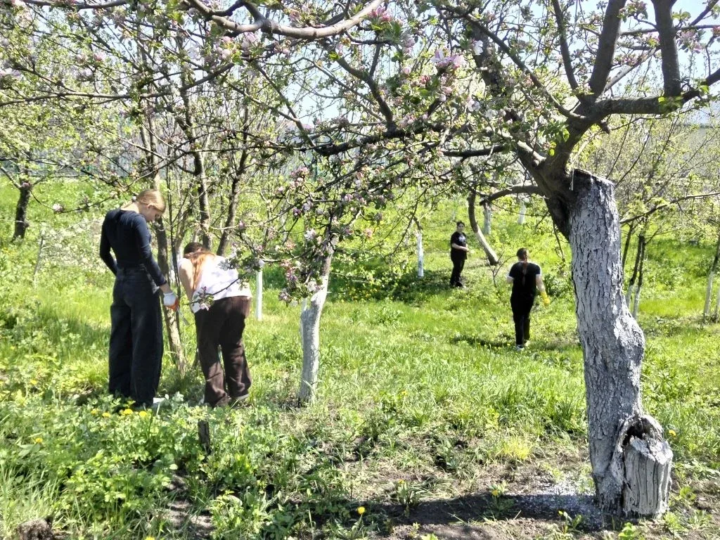 Активисты волонтерского отряда "Лига первых" оказали  помощь в уборке дворовой территории и вокруг д