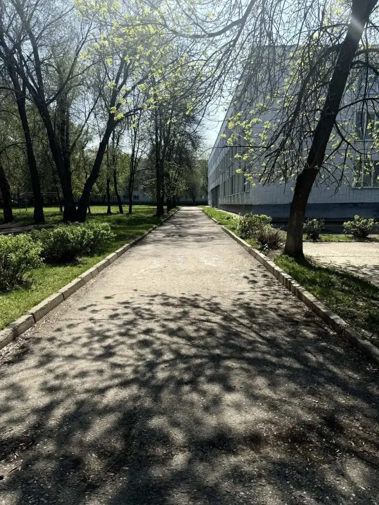🧹 Чистота начинается с нас!  На этой неделе в школе прошёл субботник. Дружно, весело и с пользой пот