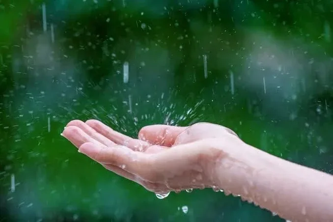 🌧Почему небо плюётся водой? Вся правда о дожде  Выходишь из дома - красота, солнце. Доходишь до пово