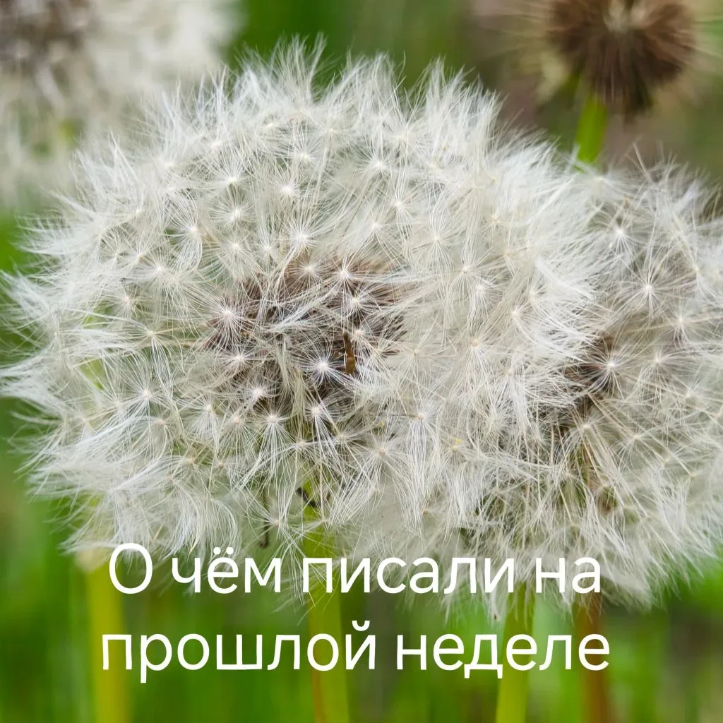 🔷 Отмечали День медсестёр   🔷   Поздравляли нашу поликлинику с 10м юбилеем  🔷 К чему приводит злоупо