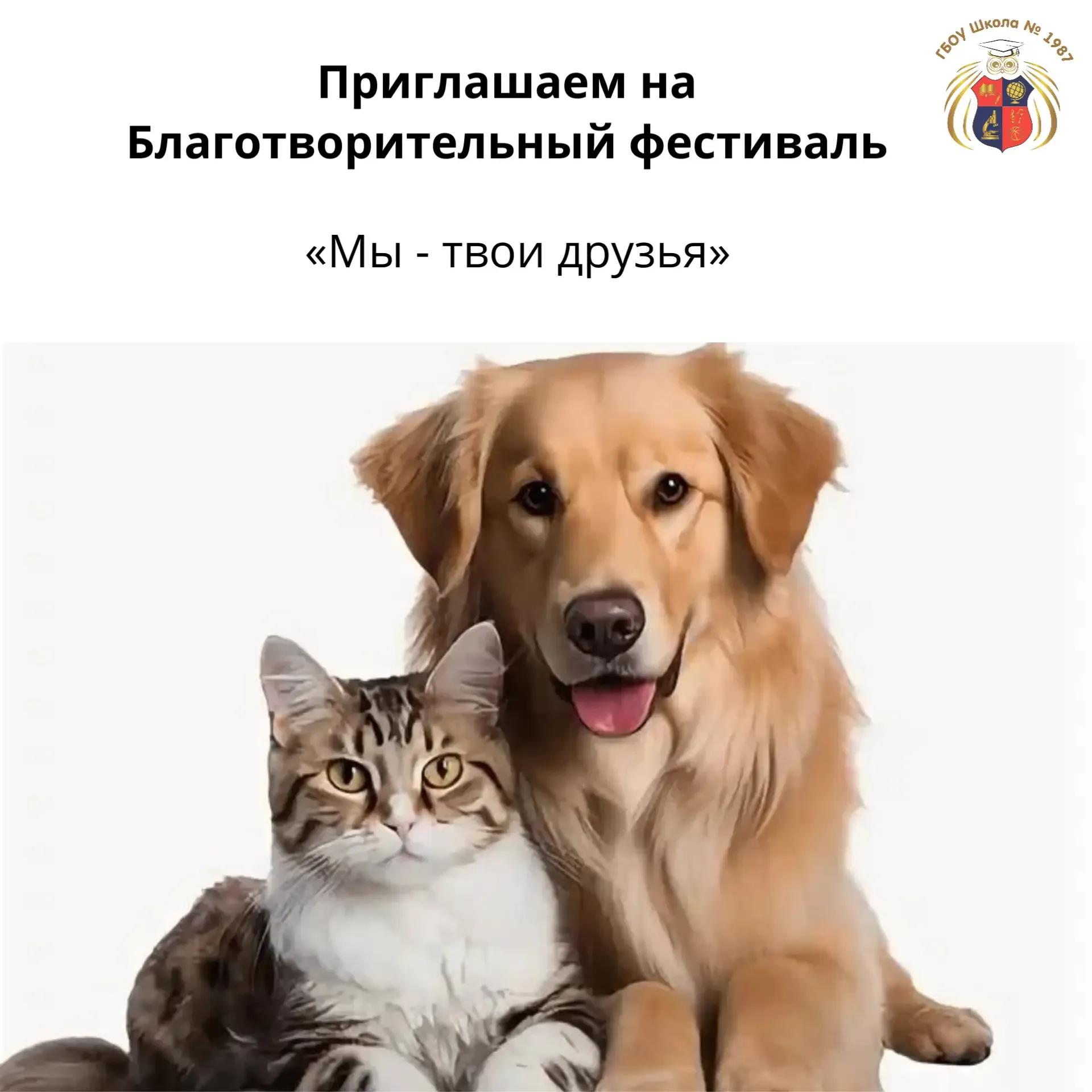 Добрый фестиваль «Мы — твои друзья»: поможем приютам вместе! 🐾  Дорогие мамы и папы, бабушки и дедуш