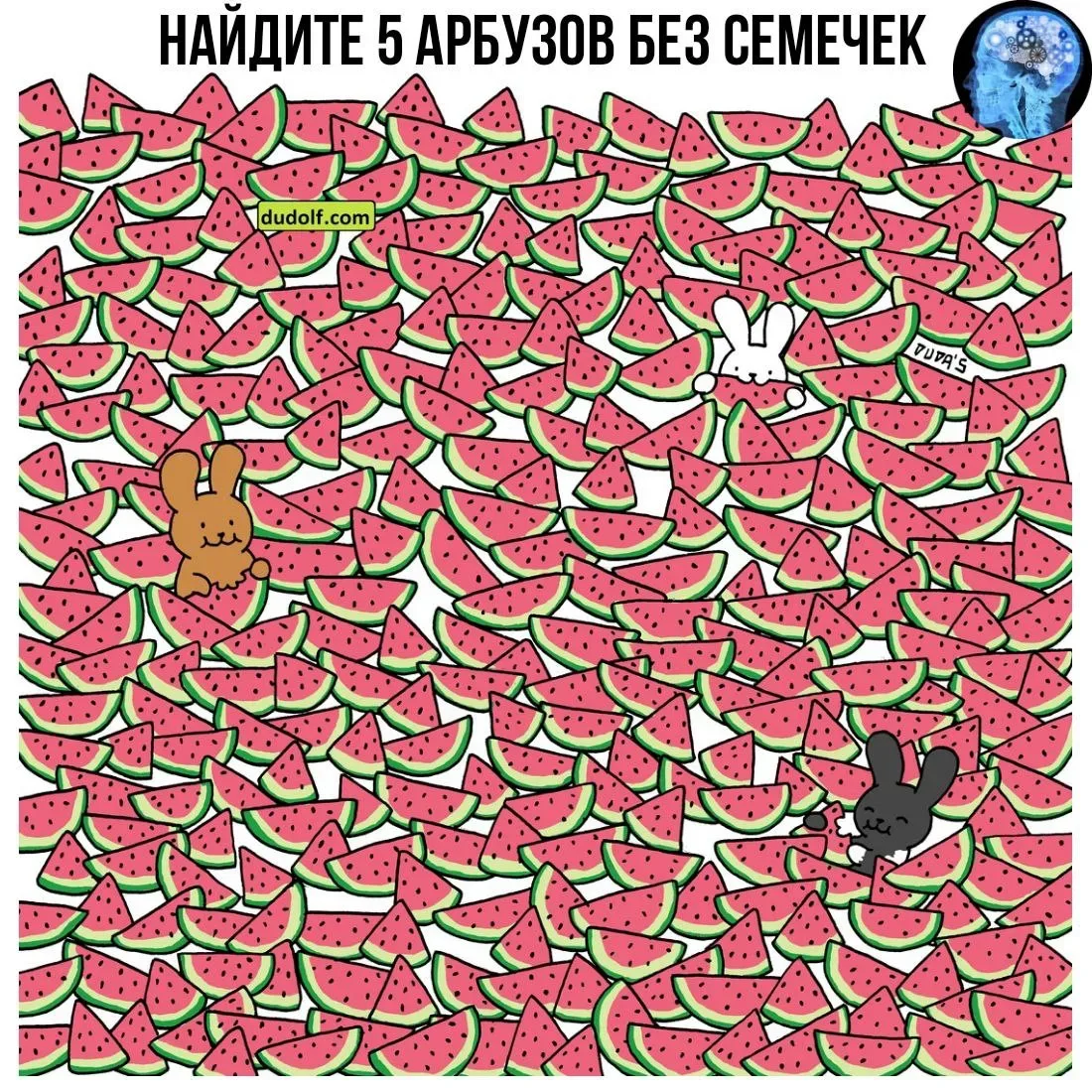Забавные искалки.  — — — Было полезно для вас? ❤🔥👍