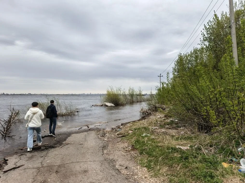 Один раз в год сады цветут... Цветущими садами мы сегодня любовались на Горной стороне. Волга показа