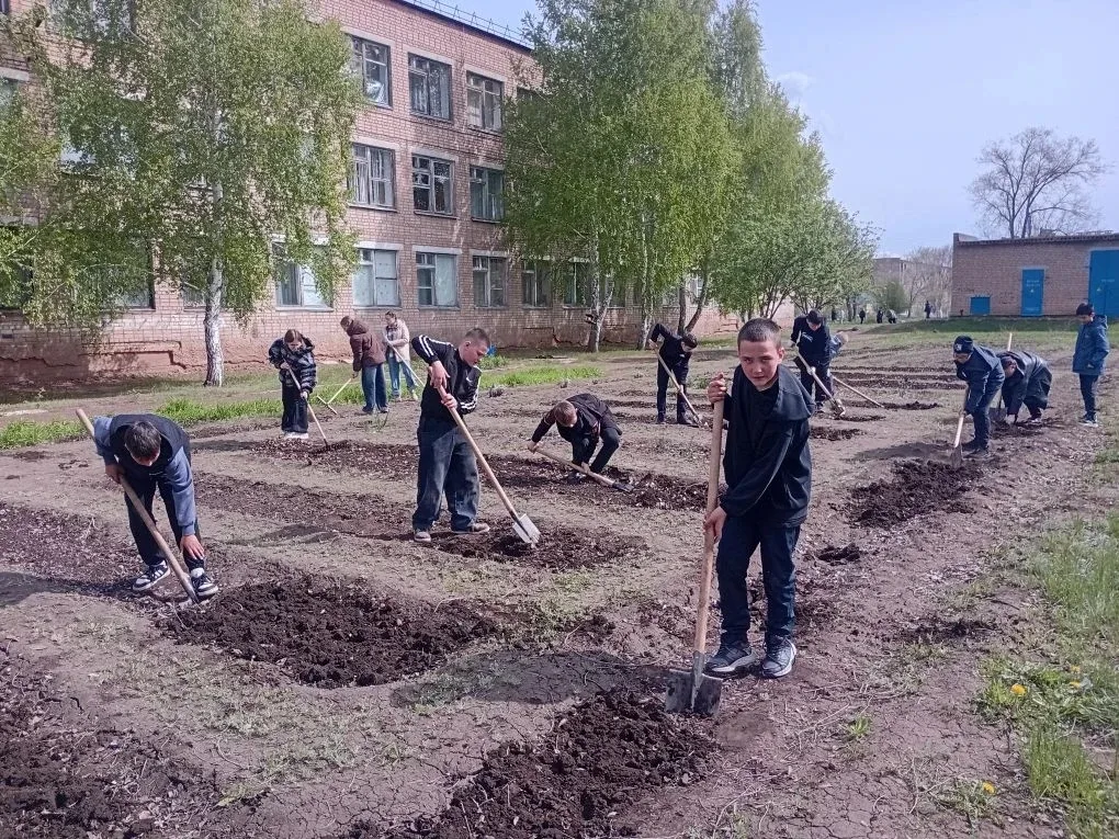 🌱 Цветущий школьный двор: работаем вместе!  Ученики нашей школы облагораживают пришкольную территори