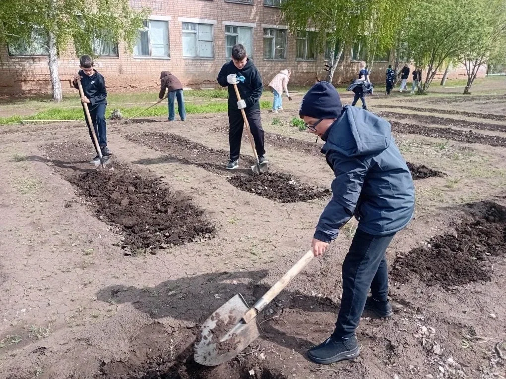 🌱 Цветущий школьный двор: работаем вместе!  Ученики нашей школы облагораживают пришкольную территори