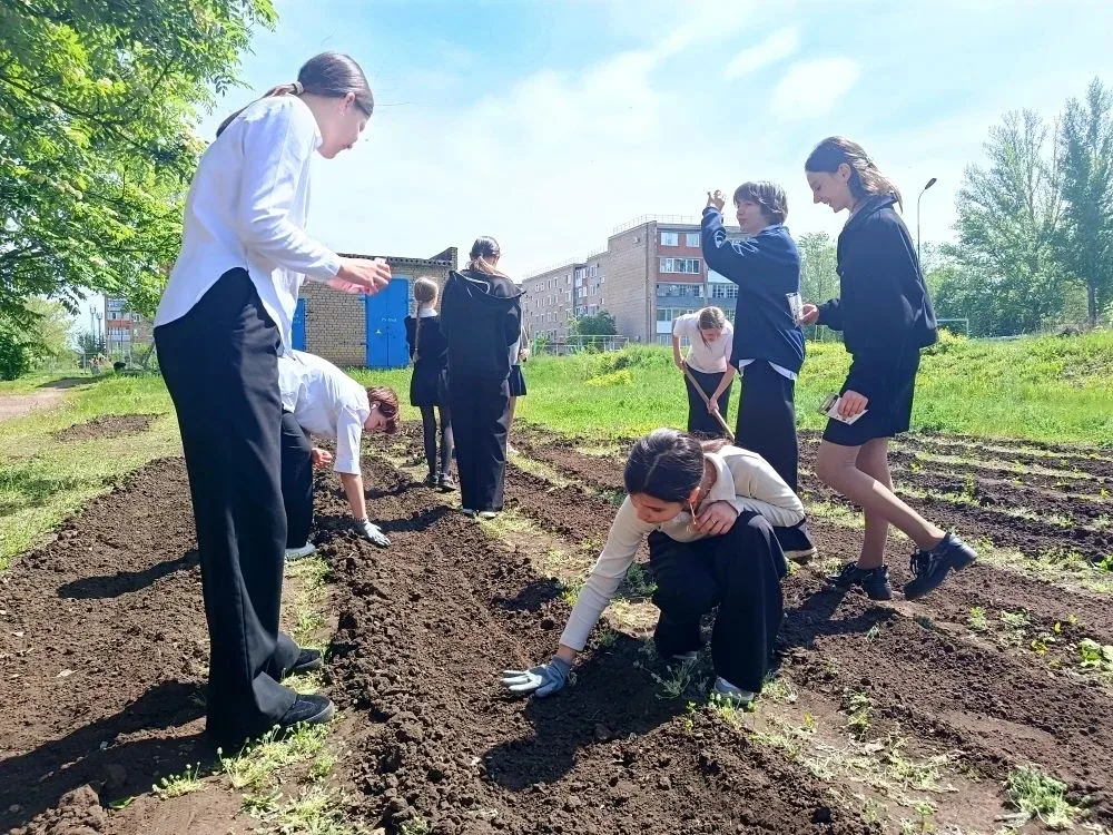 🌱 От теории к практике: будни 7 «В» на школьном участке!  Сегодня урок биологии у ребят из 7 «В» про