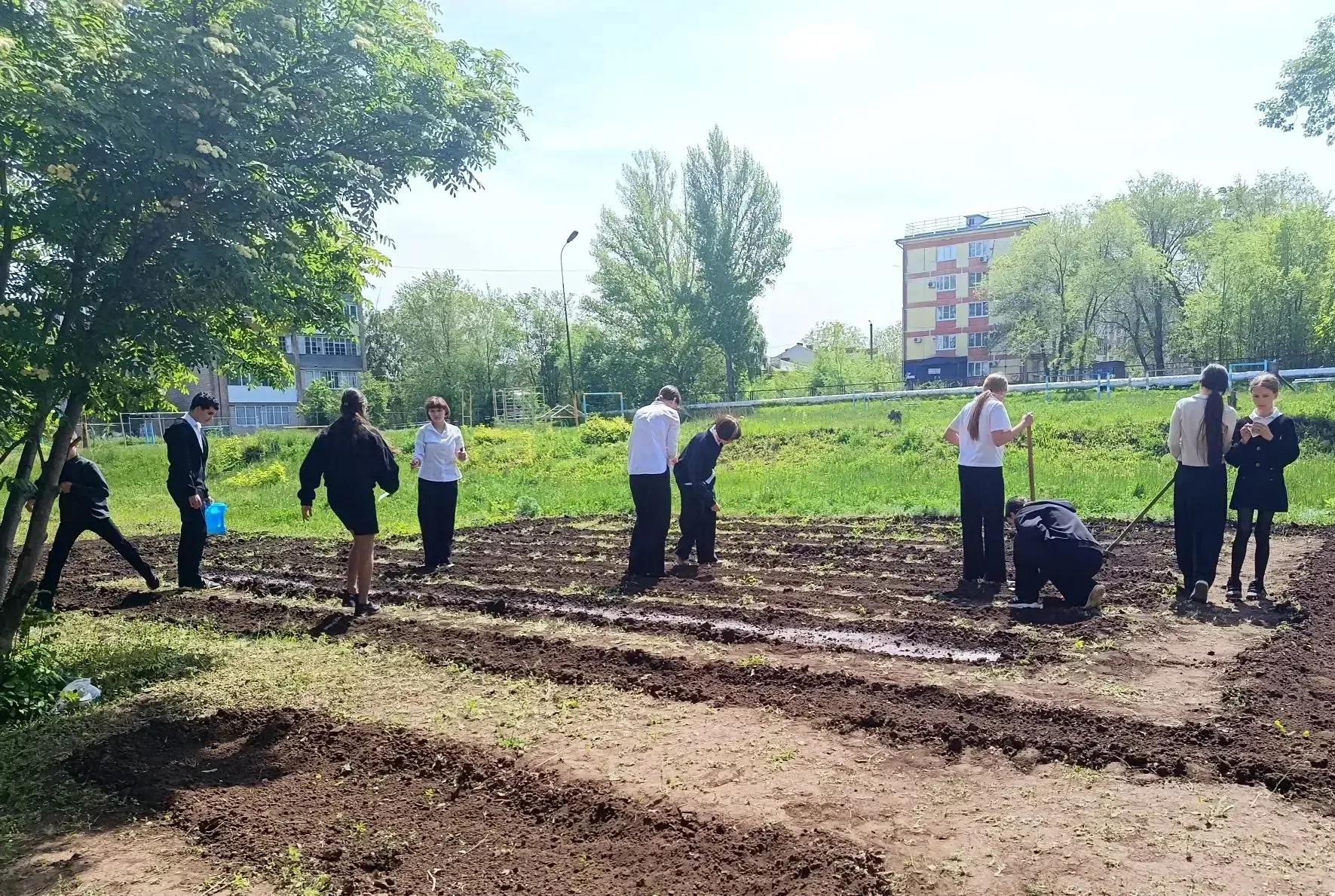 🌱 От теории к практике: будни 7 «В» на школьном участке!  Сегодня урок биологии у ребят из 7 «В» про
