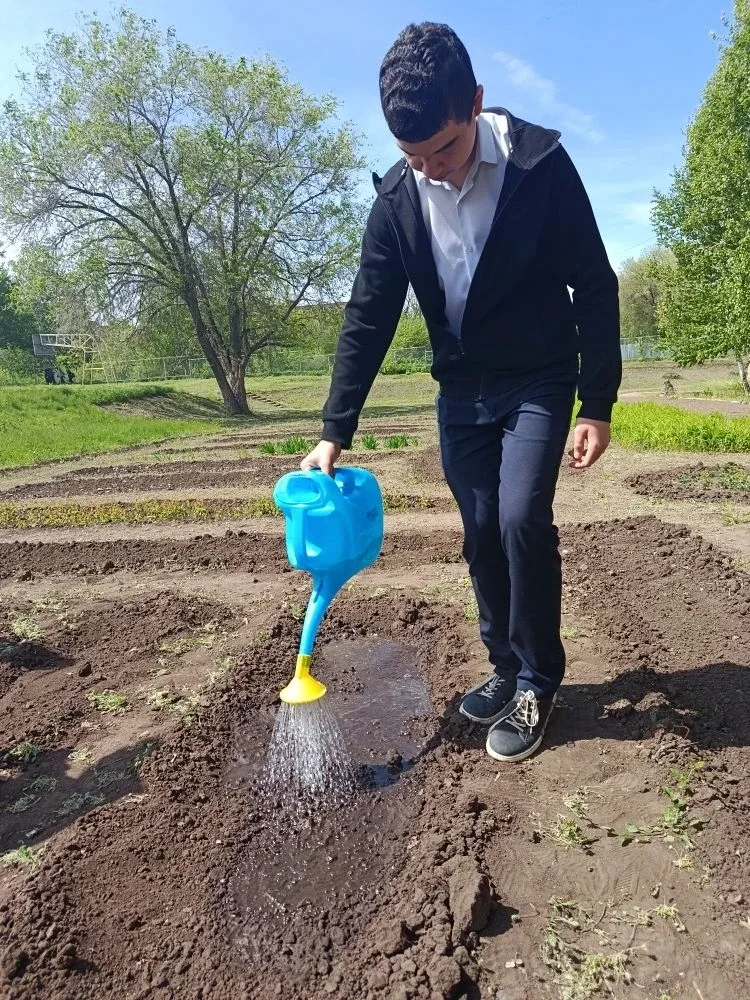 🌱 От теории к практике: будни 7 «В» на школьном участке!  Сегодня урок биологии у ребят из 7 «В» про