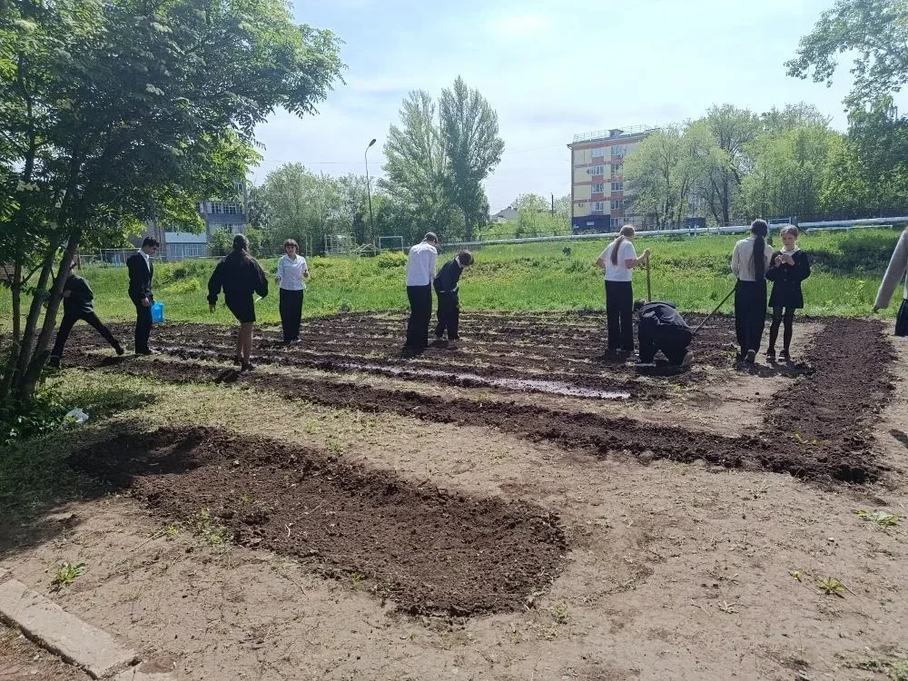 🌱 От теории к практике: будни 7 «В» на школьном участке!  Сегодня урок биологии у ребят из 7 «В» про