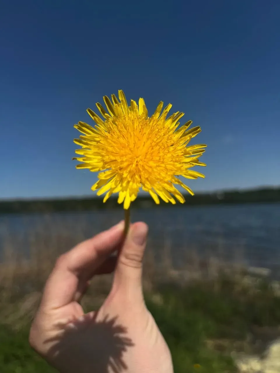 Всем, кто на работе, — тёплый привет и хорошего дня!☀🌸  НЕ ЗАБУДЬ ПОДПИСАТЬСЯ ⤵️