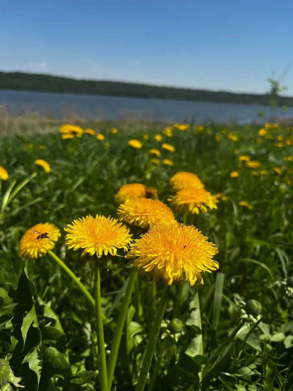 Всем, кто на работе, — тёплый привет и хорошего дня!☀🌸  НЕ ЗАБУДЬ ПОДПИСАТЬСЯ ⤵️