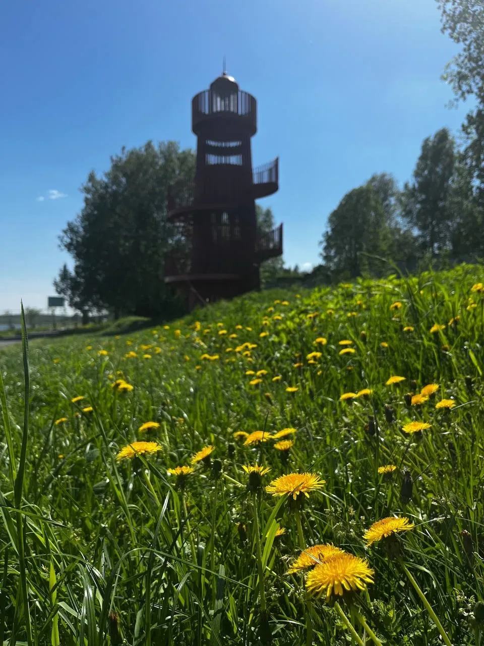 Всем, кто на работе, — тёплый привет и хорошего дня!☀🌸  НЕ ЗАБУДЬ ПОДПИСАТЬСЯ ⤵️