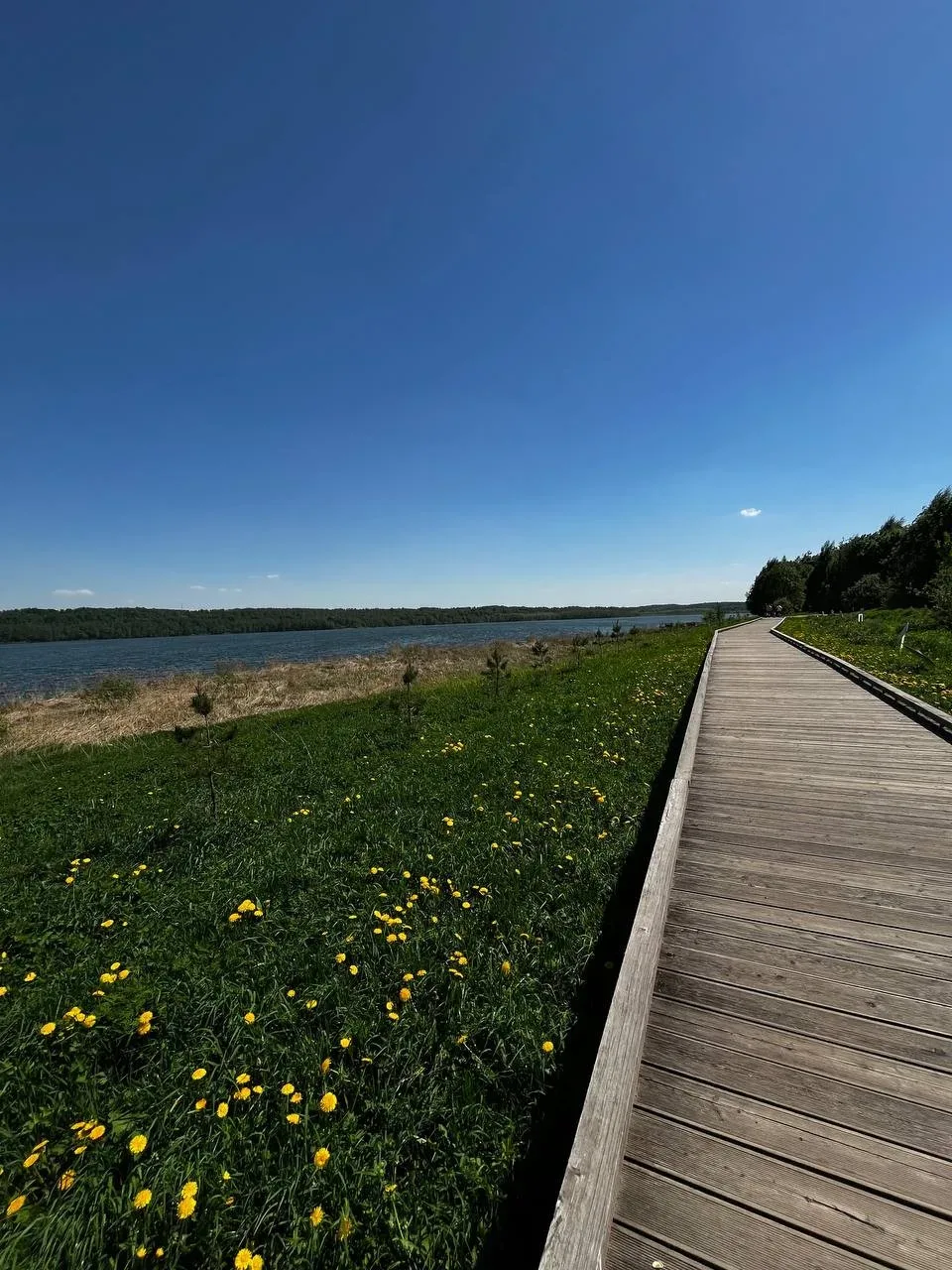 Всем, кто на работе, — тёплый привет и хорошего дня!☀🌸  НЕ ЗАБУДЬ ПОДПИСАТЬСЯ ⤵️