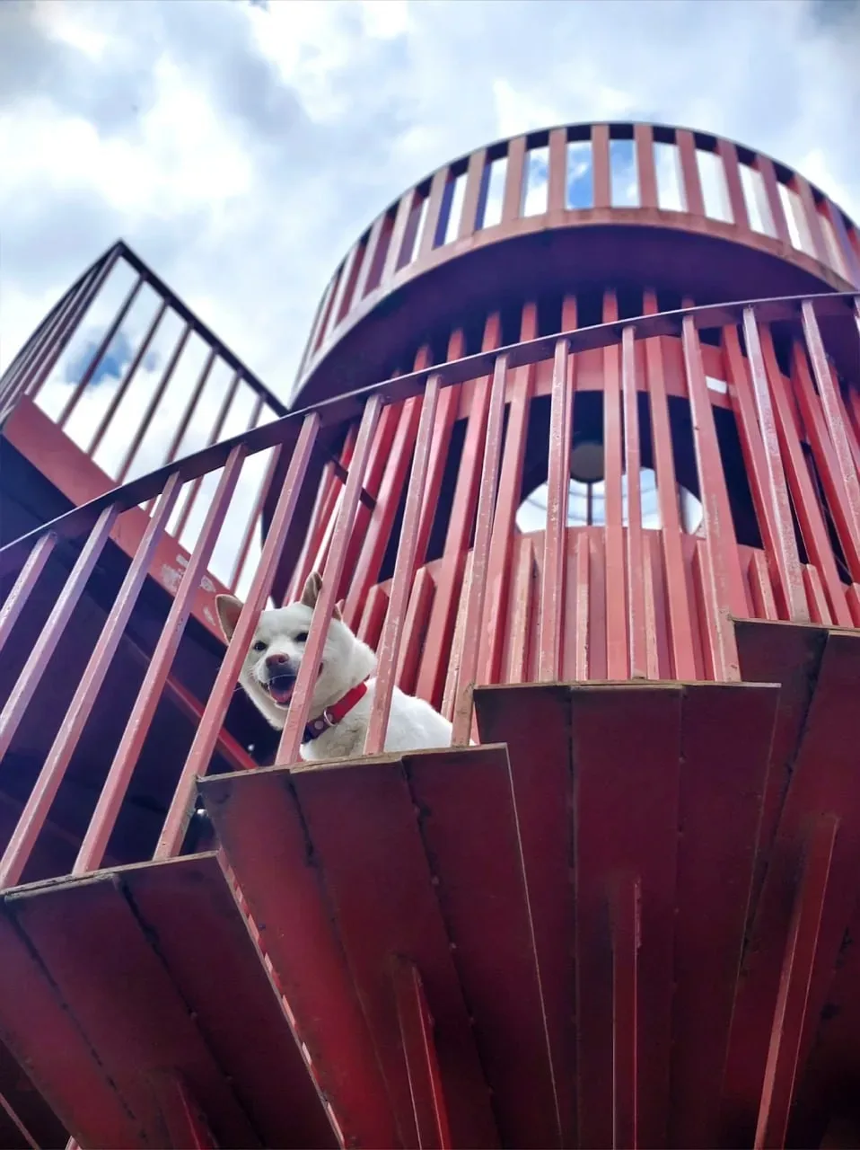 Вот такие путешественники по нашему округу гуляют🐕   Пёс Цезарь отметился на разных локациях озера. 